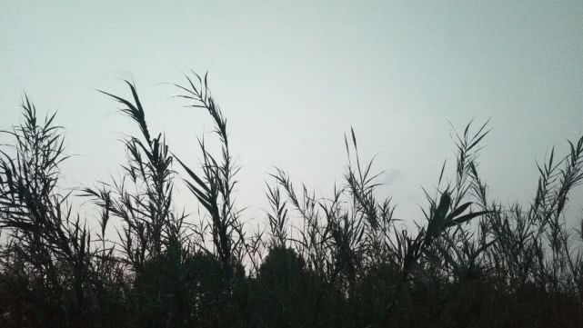 290个遗物故事,290次想念的声音