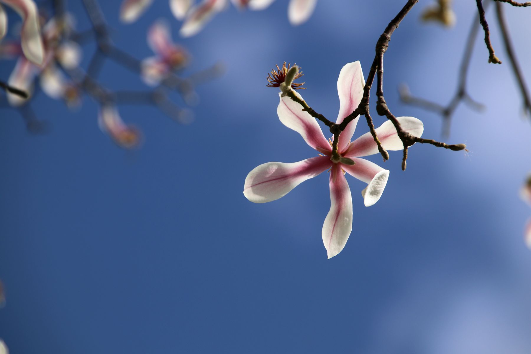 朋友两个字怎么注音,郭德纲解释什么是朋友原话