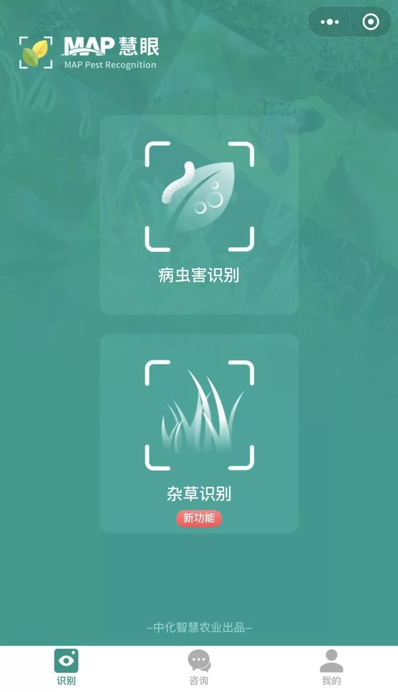 吃苹果不小心吞了虫子有什么后果,吃苹果咬到多少条虫最可怕