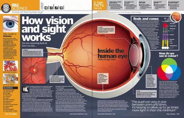 人类最致命的天敌,人类自相残杀的基因