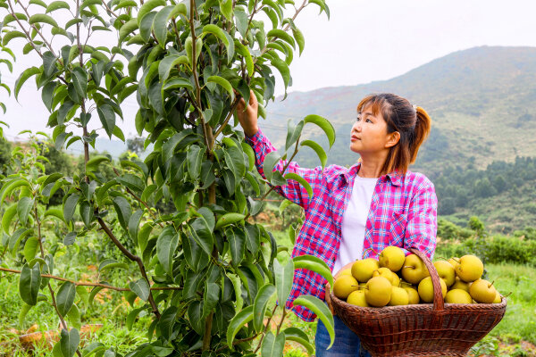 今日新农人明日兴农人——咸宁职业技术学院培养农村新型职业人才的探索