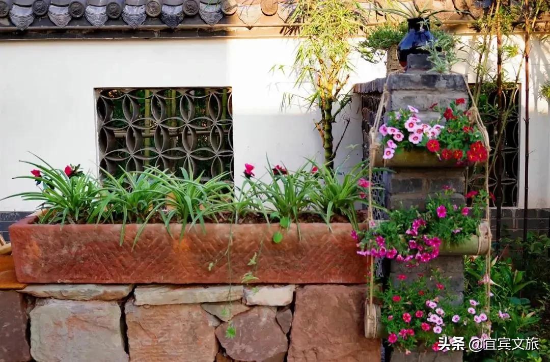 国内赏竹,中国人赏竹