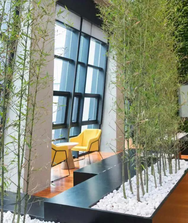 暑假深圳好玩的地方推荐,暑假深圳免费好玩的地方推荐