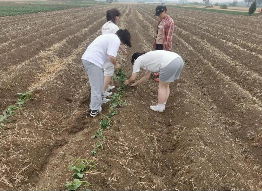 三下乡扶贫感悟,皖西学院三下乡