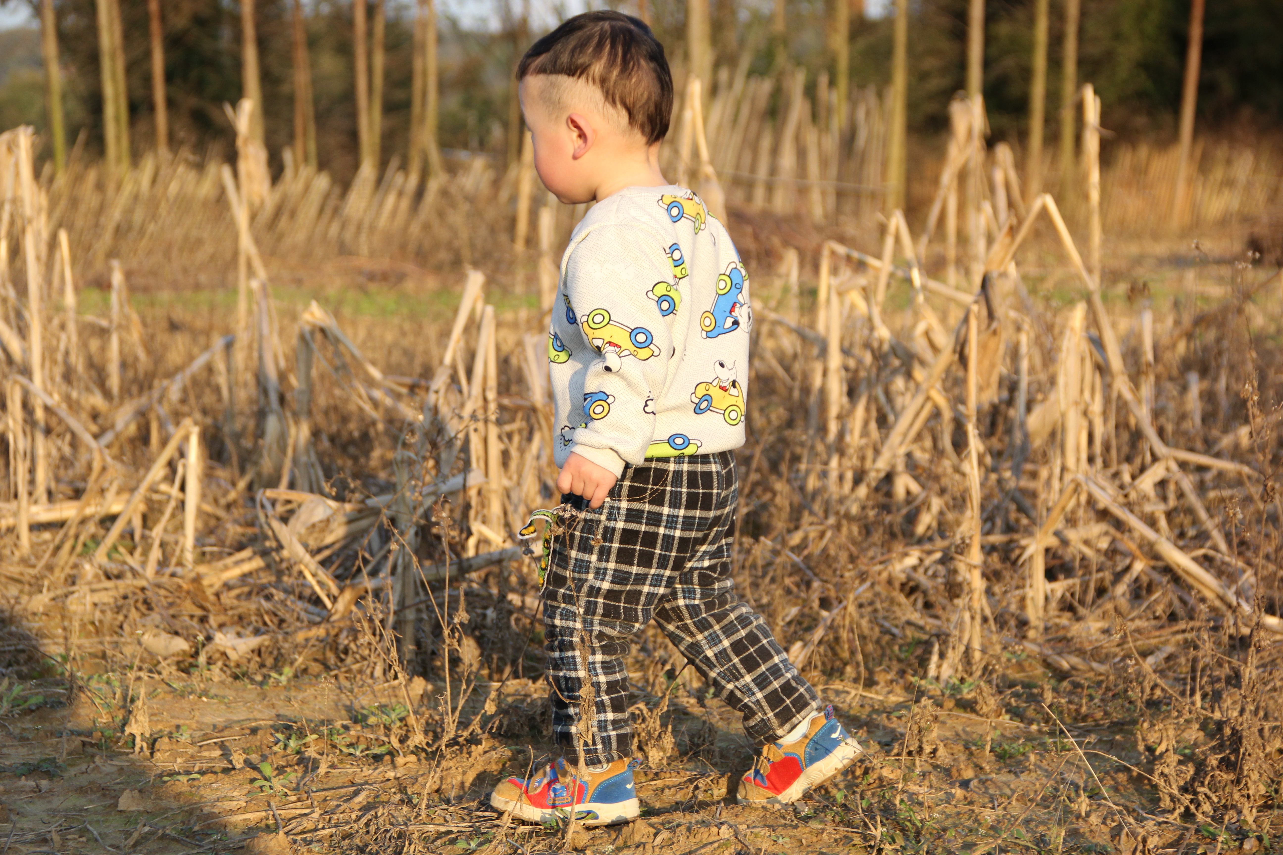 二手单反相机容易坏吗,买二手单反要注意什么问题