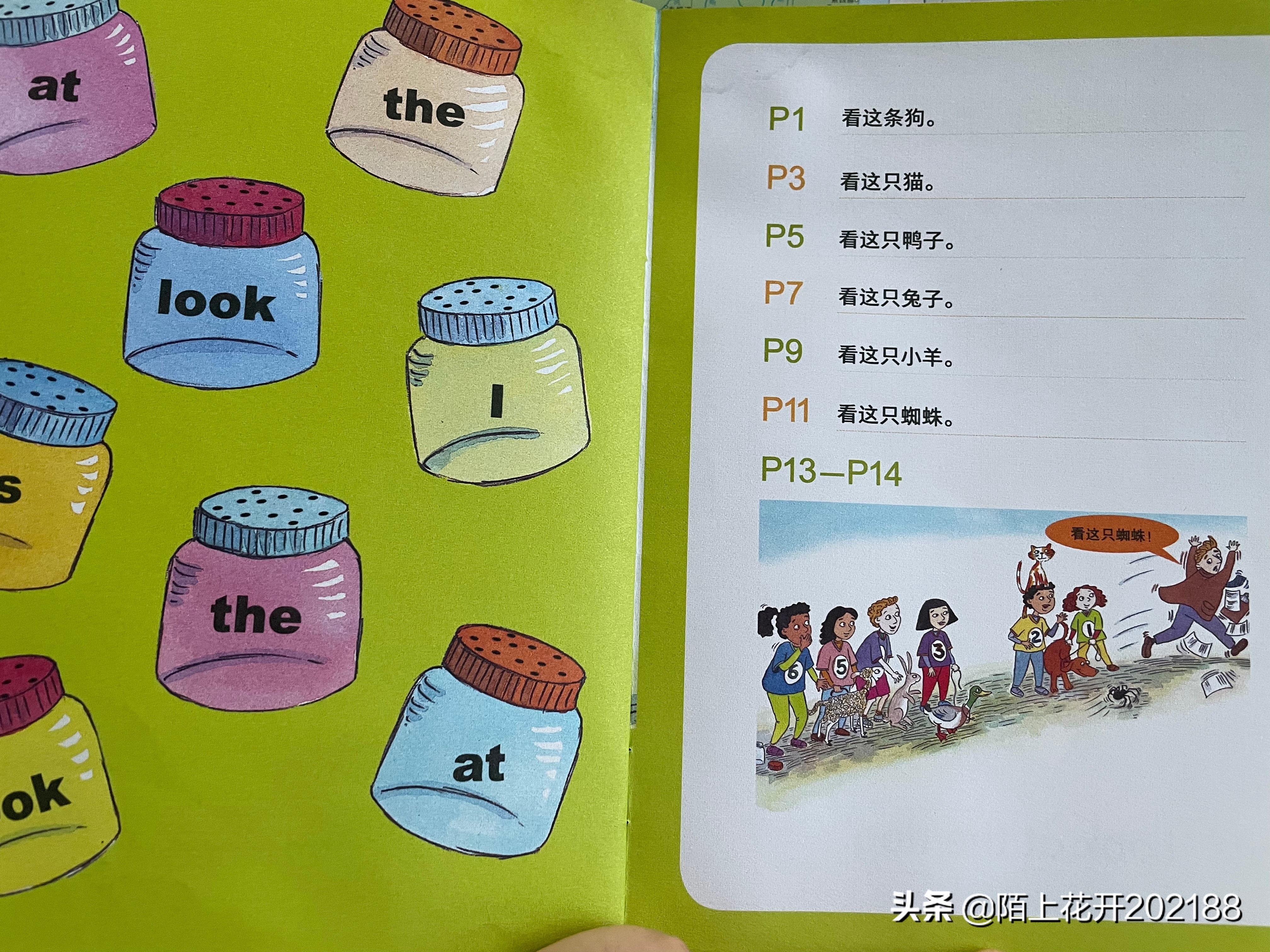 幼儿英语启蒙学习单词绘本,英语启蒙绘本4-6岁