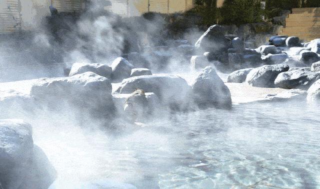 没有孵过混堂的上海冬天，是不完整的！