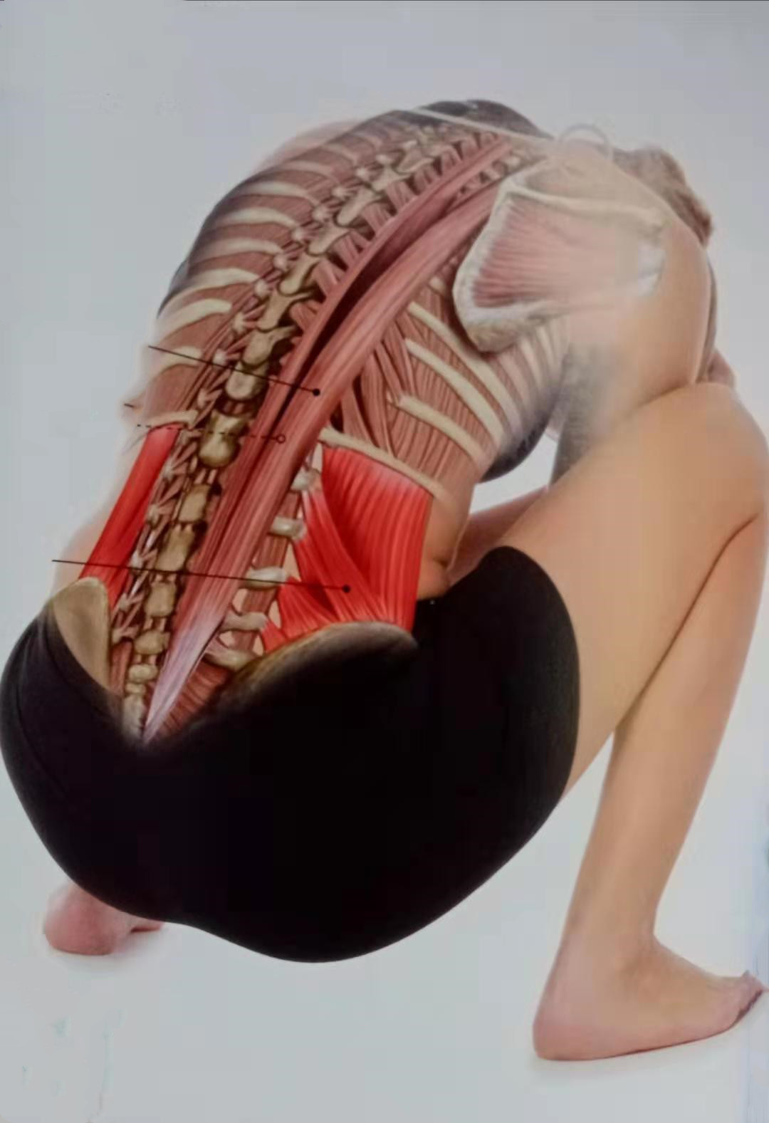 长期久坐腰部无力怎么办,久坐久躺低头玩手机做什么锻炼