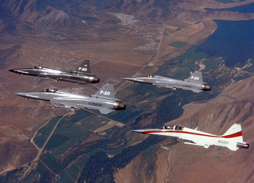 极富悲剧色彩的虎鲸,虎鲨悲剧