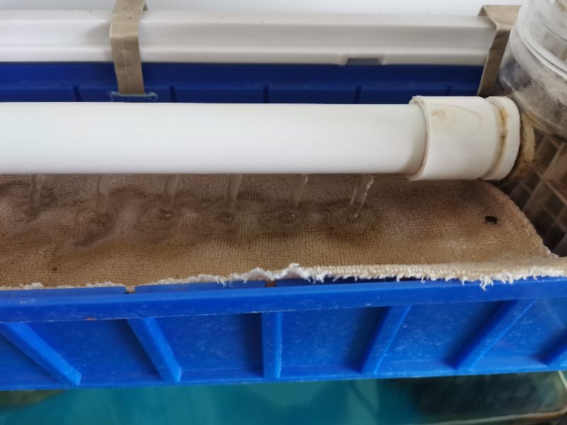 家庭自制鱼缸过滤器,自制鱼缸过滤器虹吸