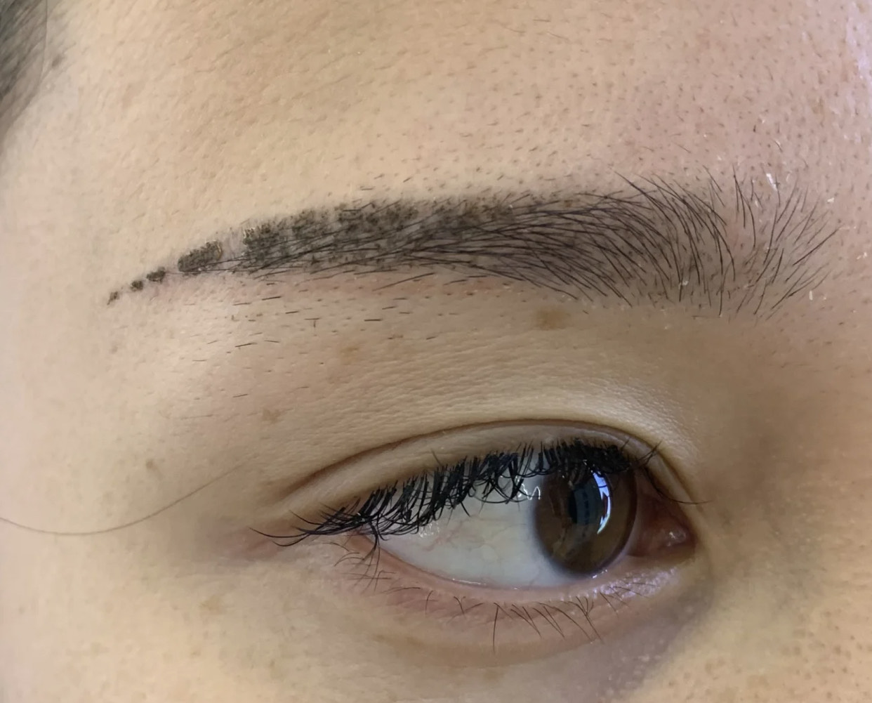 为什么很多人纹眉不植眉,纹眉这么难看为什么还有人去纹