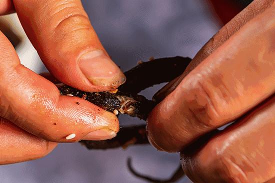滚烫，火辣，江湖气！当武汉的馆子来到徐州，这座城的灵魂也来了