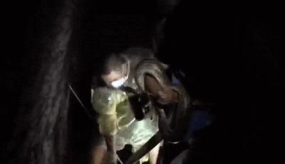 马路惊现巨型蟒蛇,臭水沟惊现巨大蟒蛇