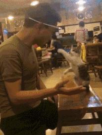 搞笑时刻心情变好,搞笑时刻大家开心就好