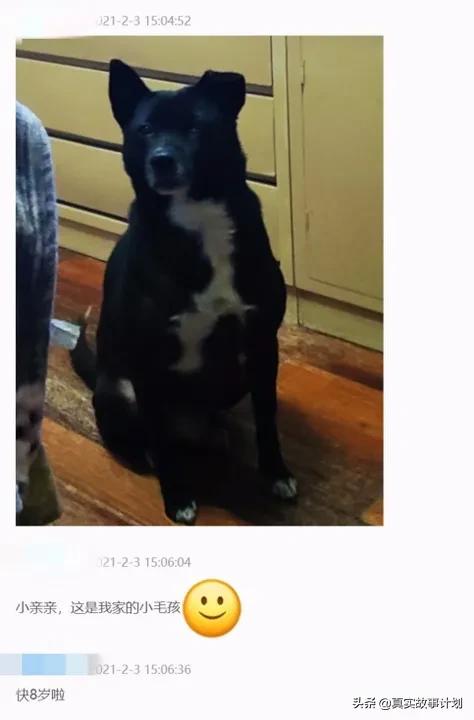 狗粮、罐头、零食？空巢老年人的购物车里有什么