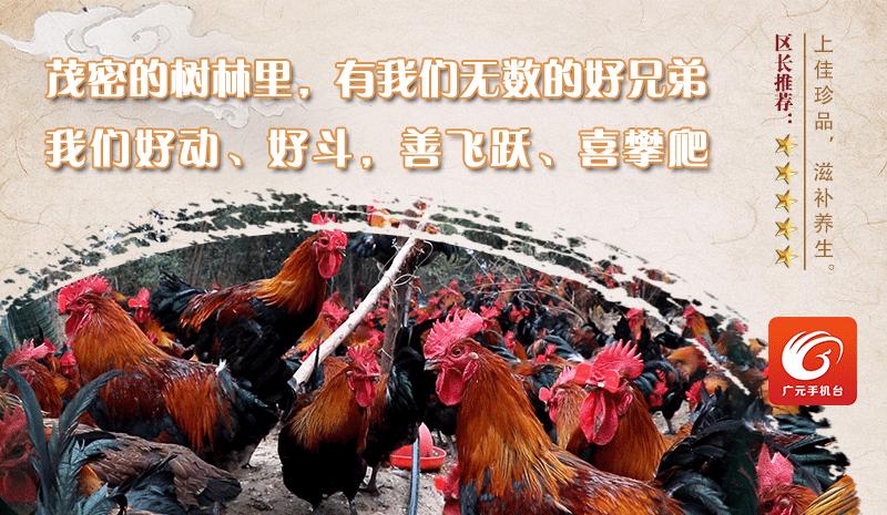 「抗击疫情」四川省电视艺术家协会团体会员单位在行动！（三十八）