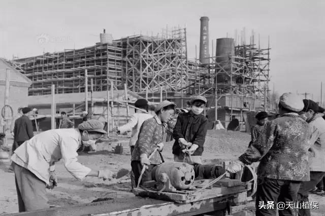 伟大的新疆,伟大的阿勒泰