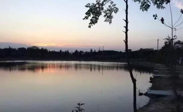 黑坑钓鲫鱼塘底有淤泥怎么调漂,黑坑泥浆层厚怎么调漂钓鲤鱼