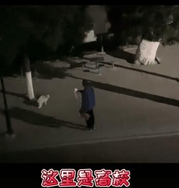 一到毕业季,我们大学的校猫就疯了哈哈哈