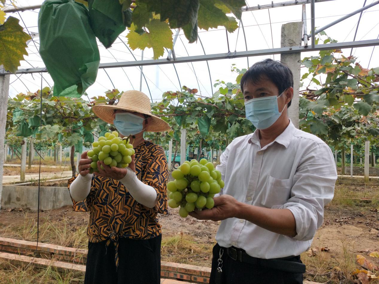 东坝镇红松村,高淳东坝红松