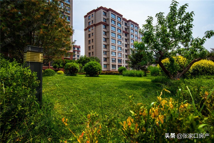 打通任督二脉的最新视频,打通任督二脉最新视频