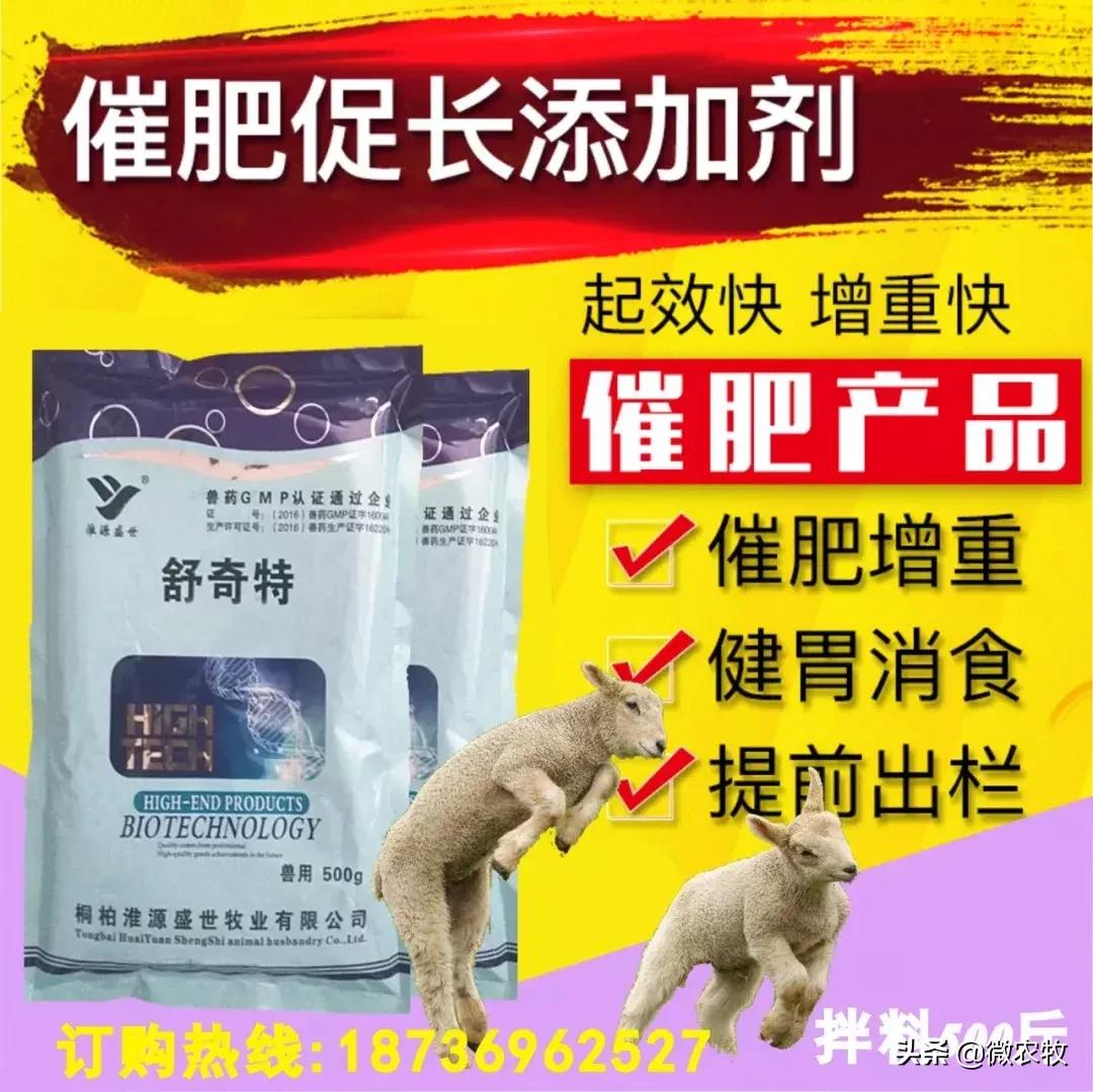 180只母羊怀孕了,一群母羊突然怀孕