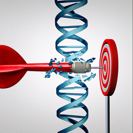 靶向治疗针对的癌基因,靶向药为何不能彻底根治癌症