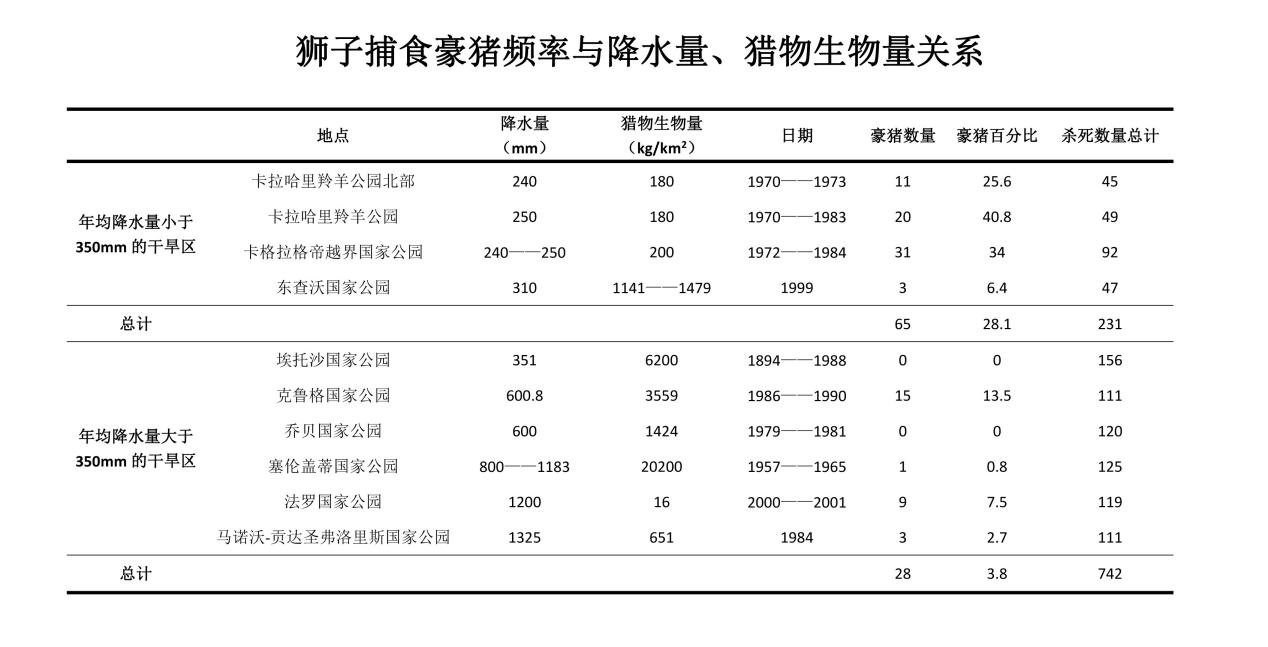 狮子VS豪猪，从非洲殖民时代说起，食人狮与豪猪也脱不开关系