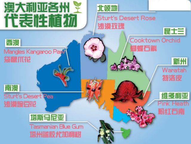 澳大利亚与加拿大哪个国家更好,澳大利亚是骑在羊背上的国家吗