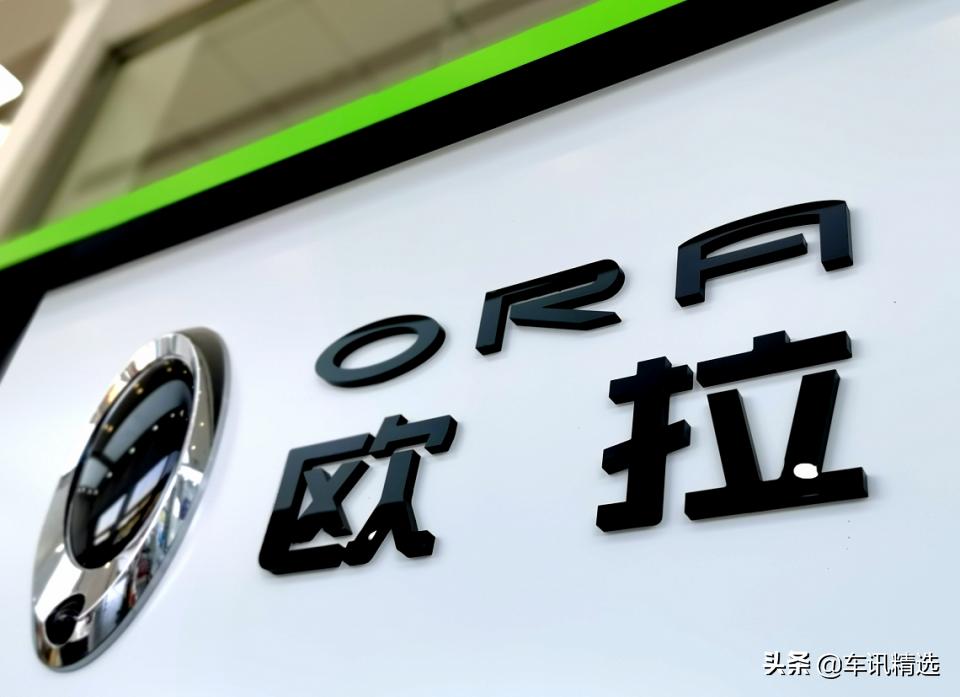 这有一只“好猫”登陆厦门，欢迎来“撸”