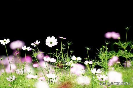 做期货如何抓住大行情,哪些期货品种适合日内短线交易