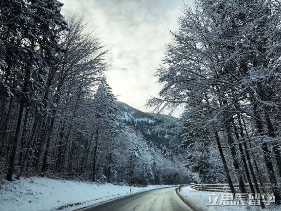 慕尼黑大学讲了什么,慕尼黑大学开设课程