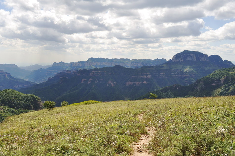广西长寿村天然氧吧,长寿村氧吧