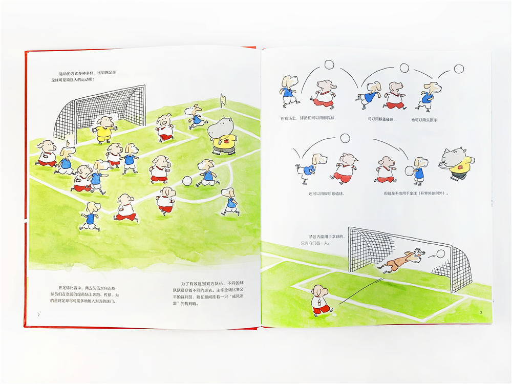 跟体育游戏有关的绘本,儿童运动趣味知识