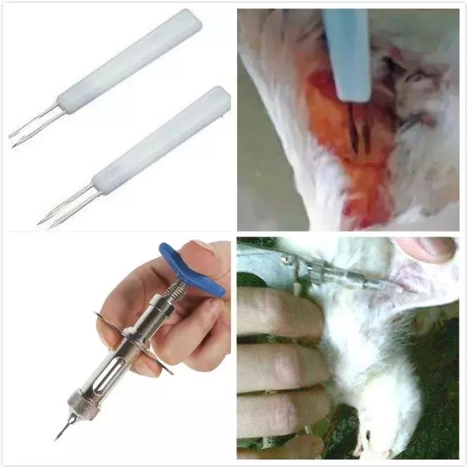 儿童鸡痘初期症状,人传染了鸡痘会有什么症状