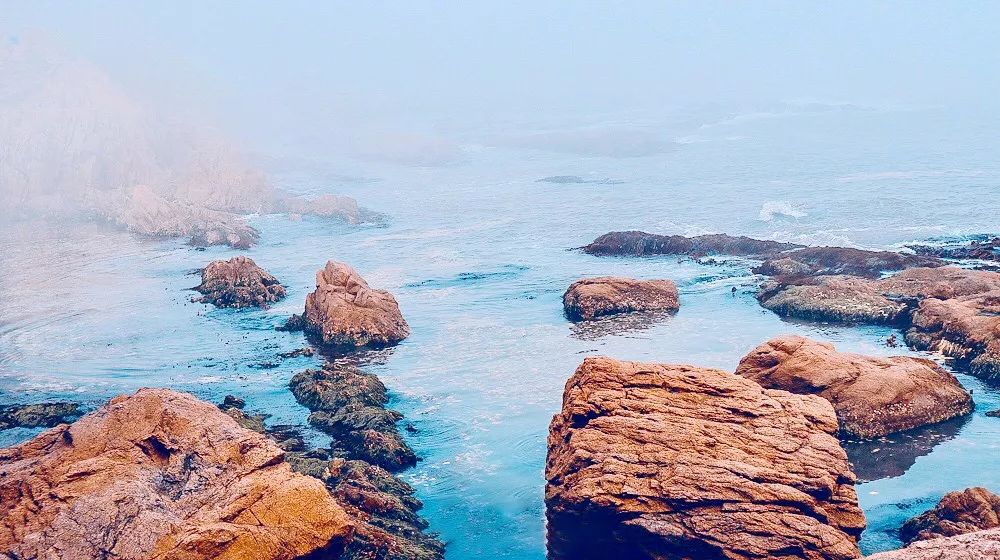 三亚和青岛旅游哪里好,三亚和青岛哪个好玩