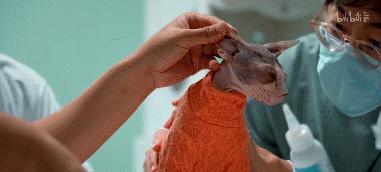 b站必看的综艺,b站能看的综艺推荐