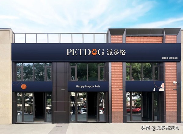 加盟派多格有人后悔吗,加盟派多格的真实经历