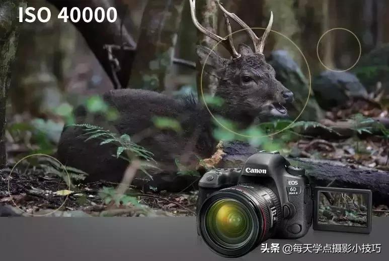 6d佳能相机入门教程,佳能6d入门怎么保存照片