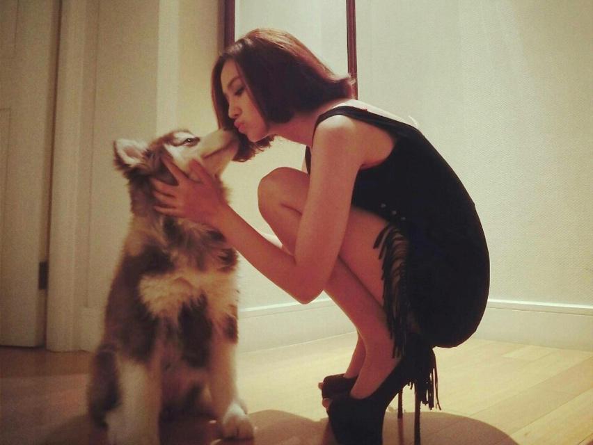 王思聪最爱的6个女人,王思聪感情史