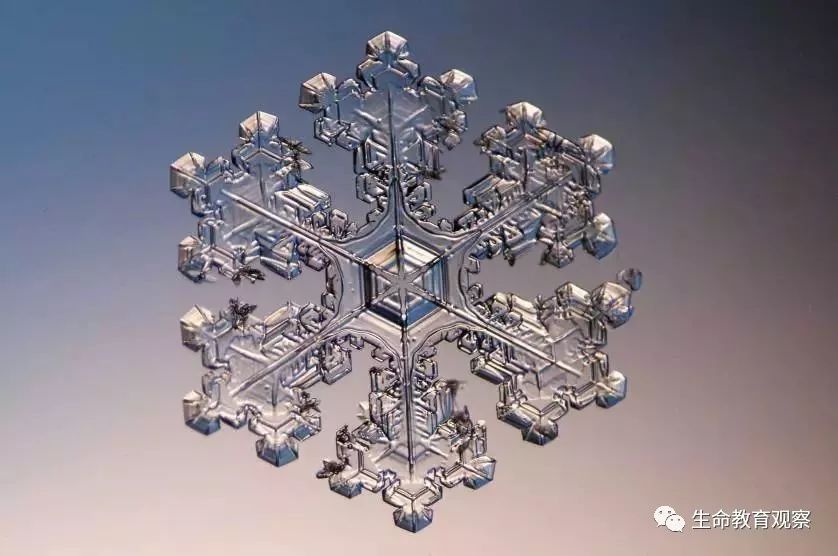 看完后，整个人都有点不对劲了（传播生物知识）