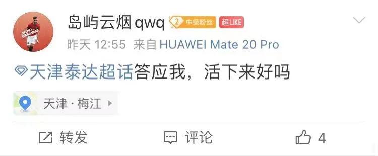 泰达基本保级成功了吗,泰达重新规划