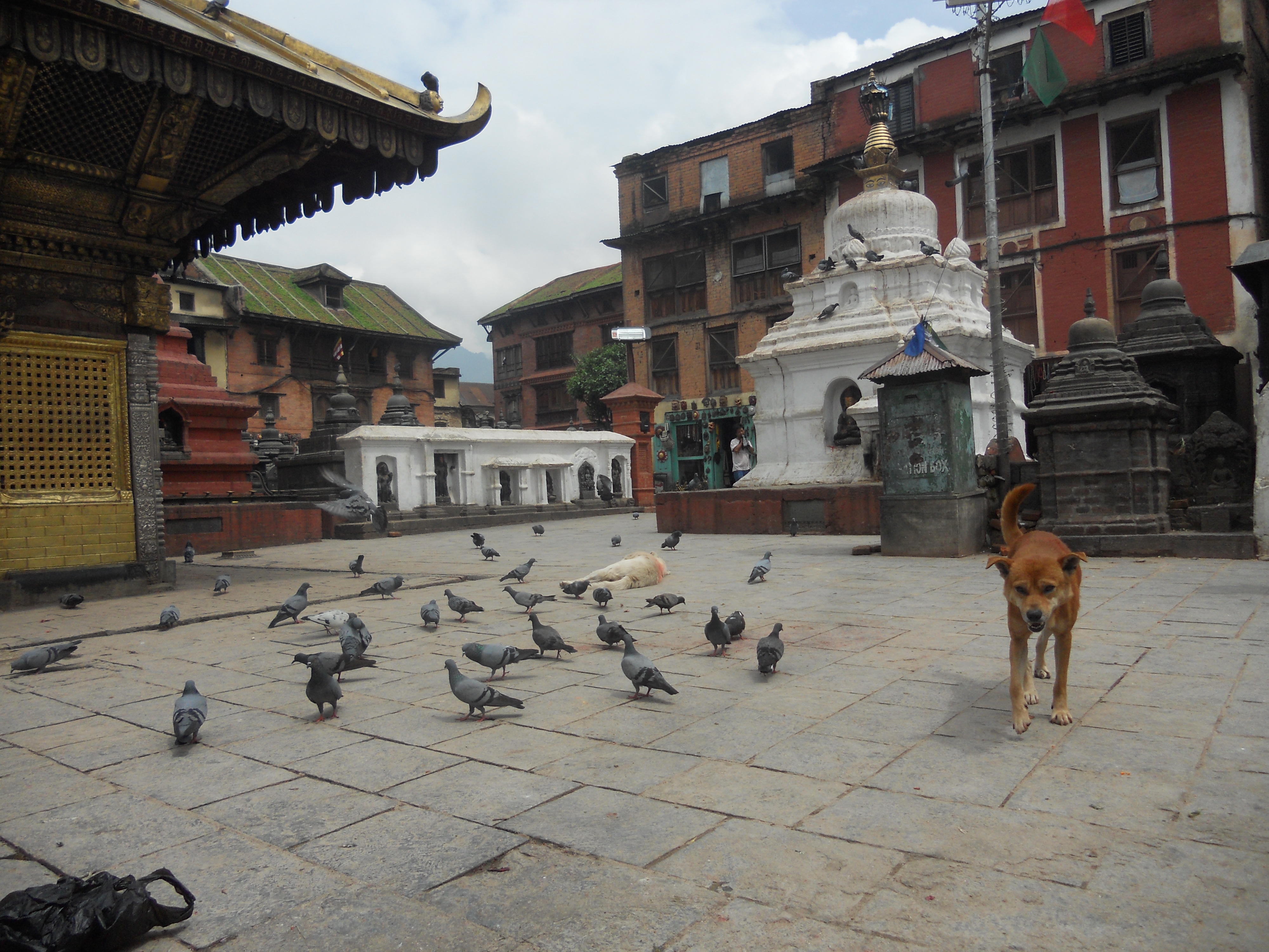 中国的后花园是指哪里,尼泊尔之游