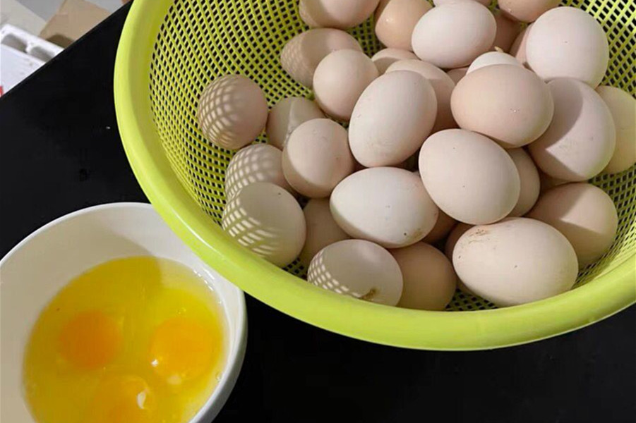 吃不完的鸡蛋快坏了怎么办,吃不完的熟鸡蛋怎么处理好吃