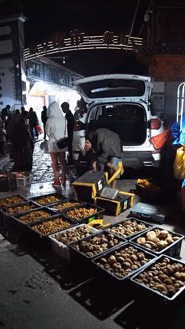 疯狂的松茸,疯狂的野生菌