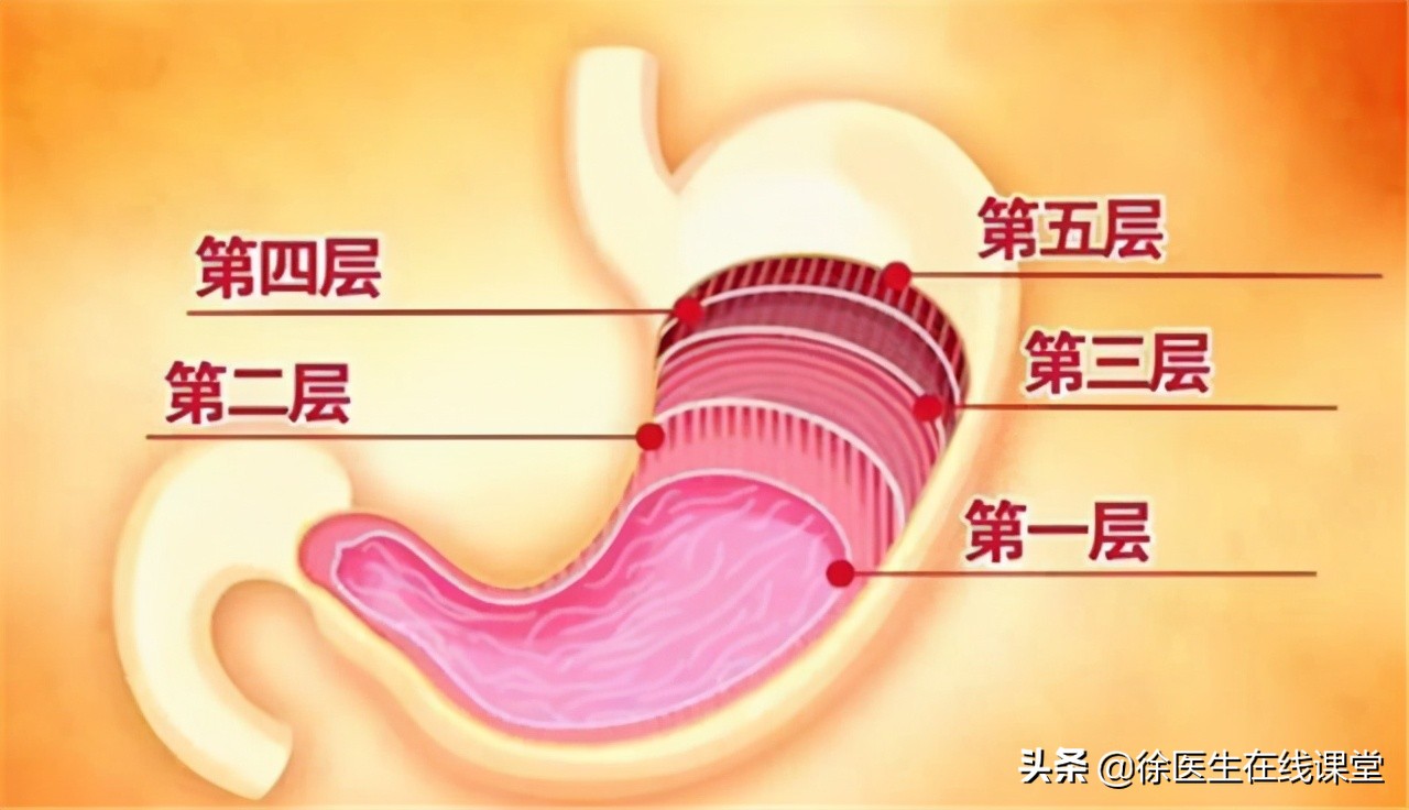 乳腺结节喝蒲公英真的消除了,蒲公英水喝多久对乳腺结节见效