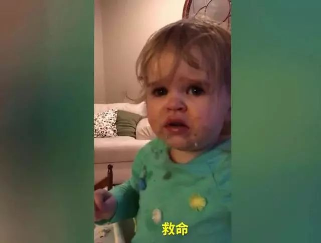 菜吧：800元一斤！据说这种菜是全世界最难种的