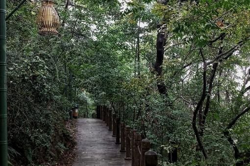 免费公园南京,南京江北免费公园