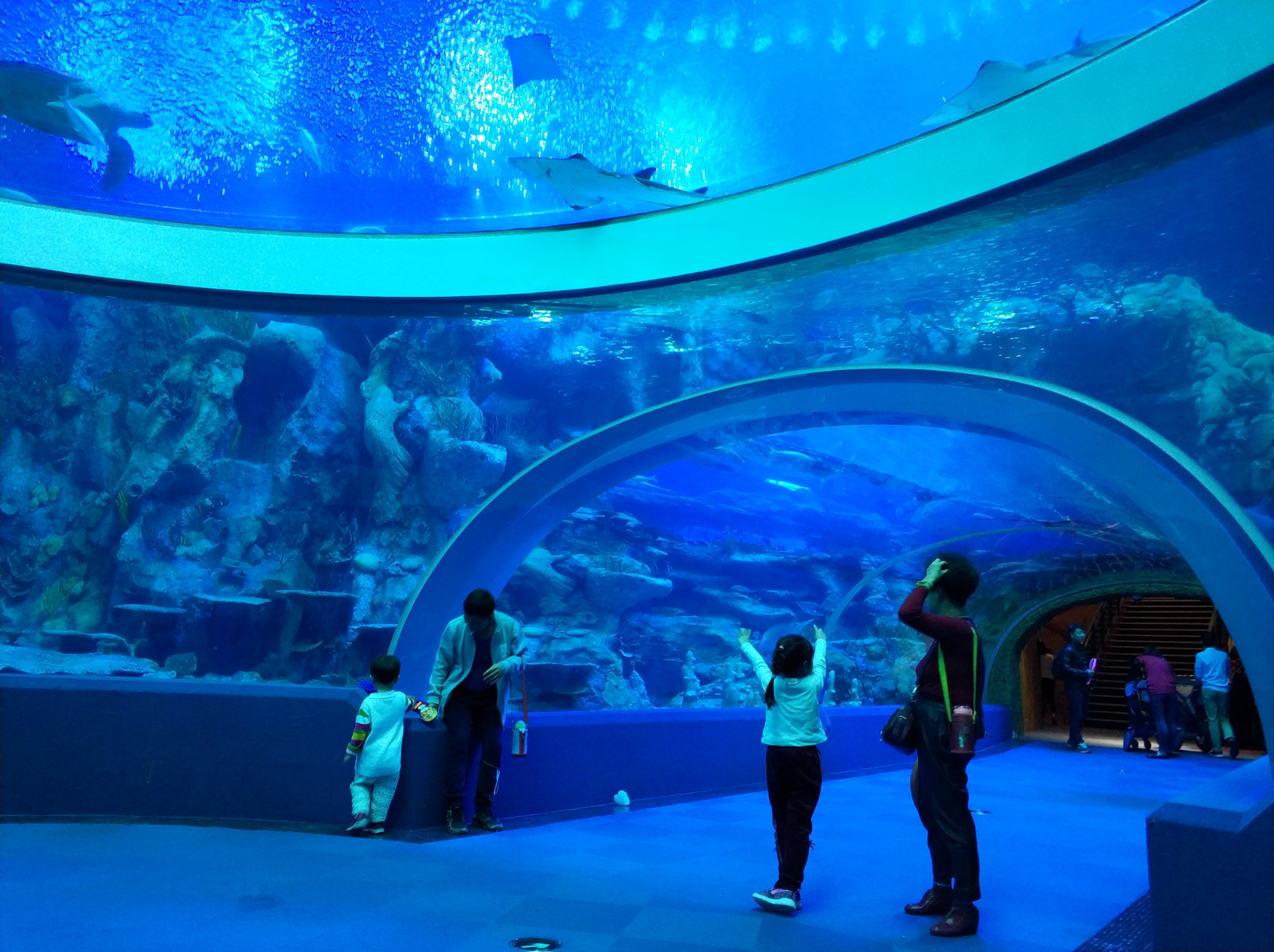 广州珠海长隆自由行旅游攻略,珠海长隆二日自驾游线路攻略最新