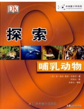 dk科普书怎么样,dk值得入手的书籍